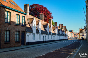 Discover Belgium 